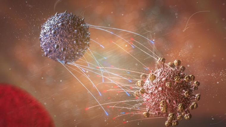 A T-cell is shown attacking a SARS-CoV-2 virus.